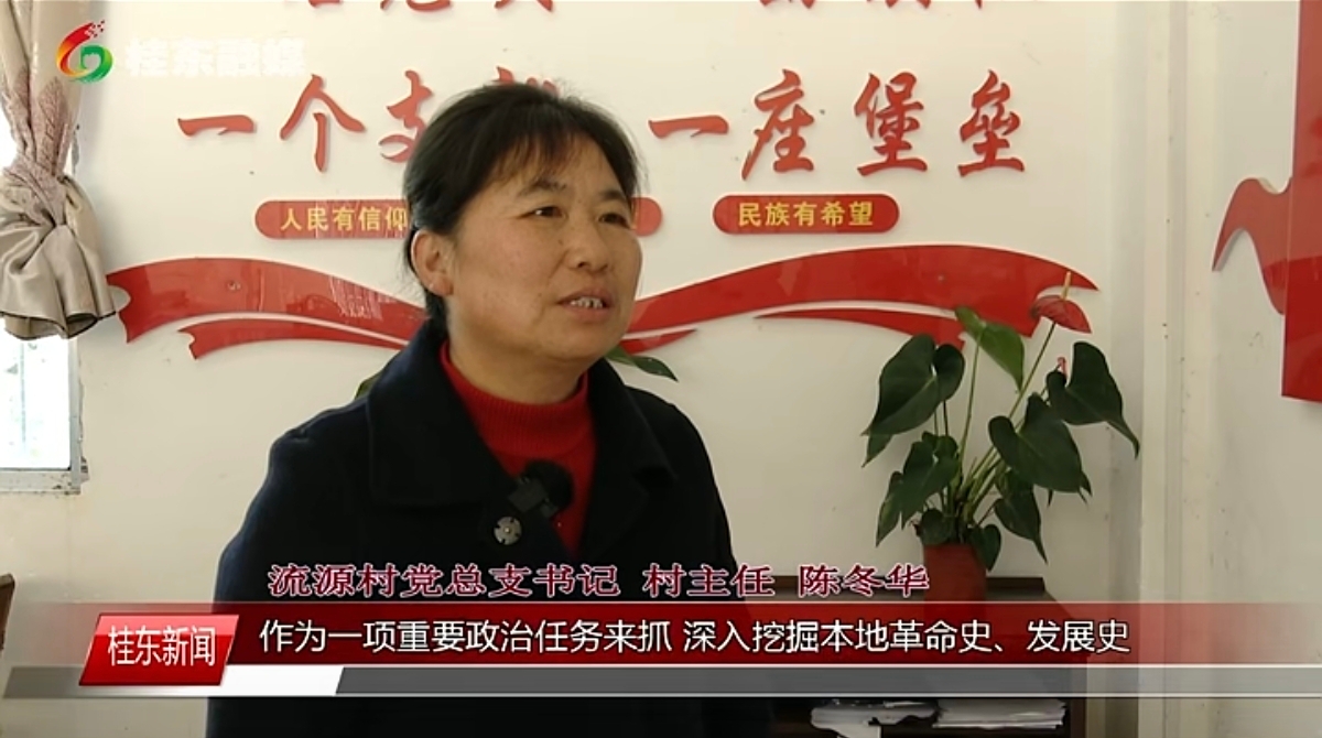 桂东县