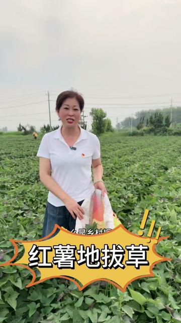 固镇县石湖乡钟黄村