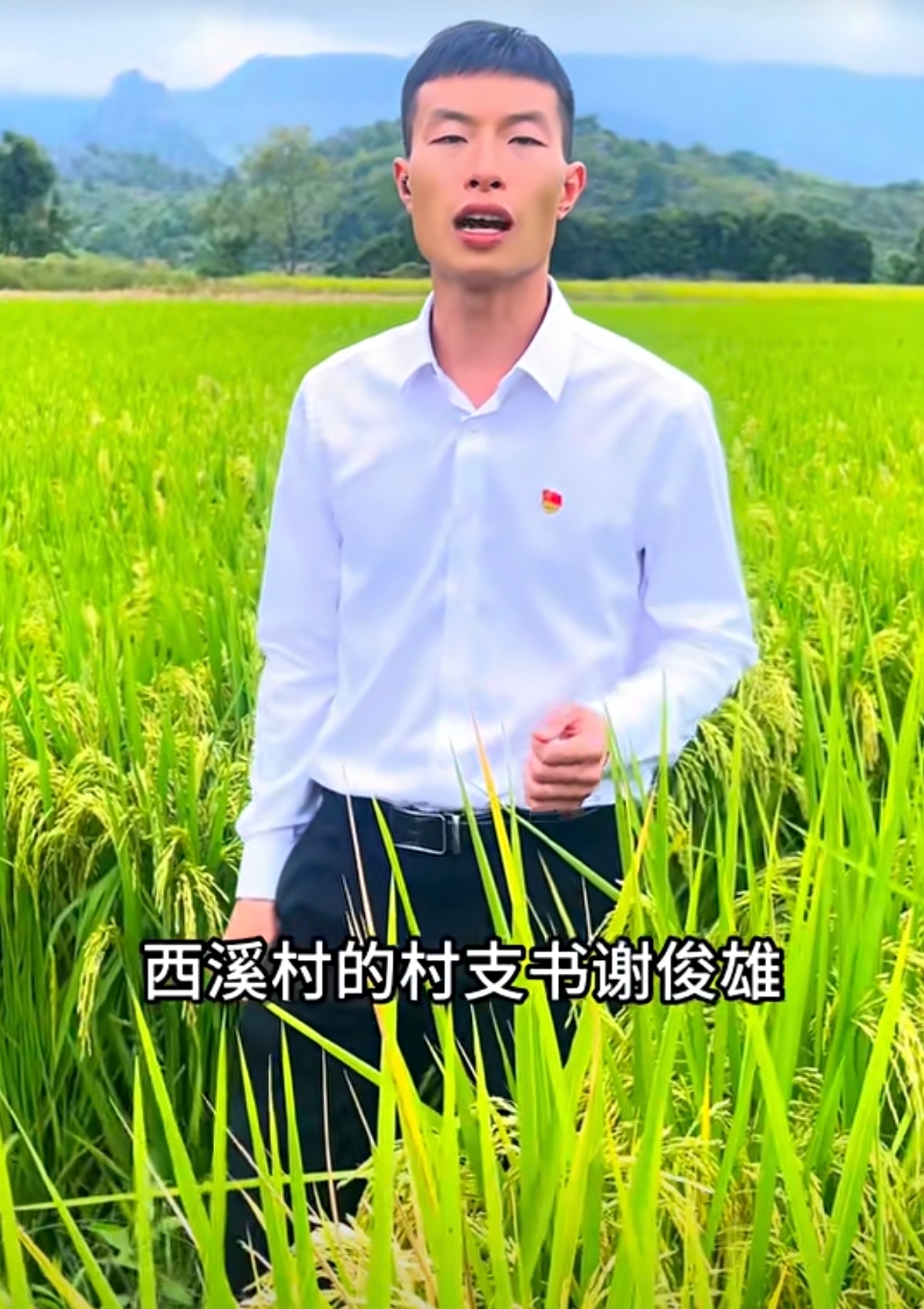 嘉禾县