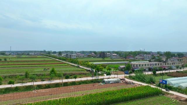 怀远县榴城镇沙沟村