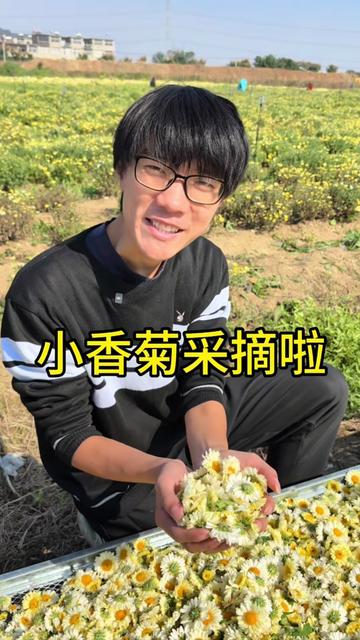 淮上区曹老集镇曹郢村
