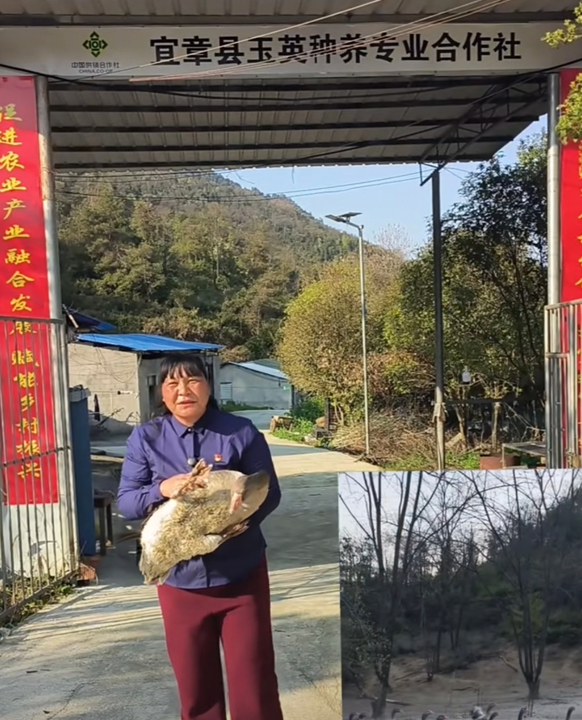 宜章县