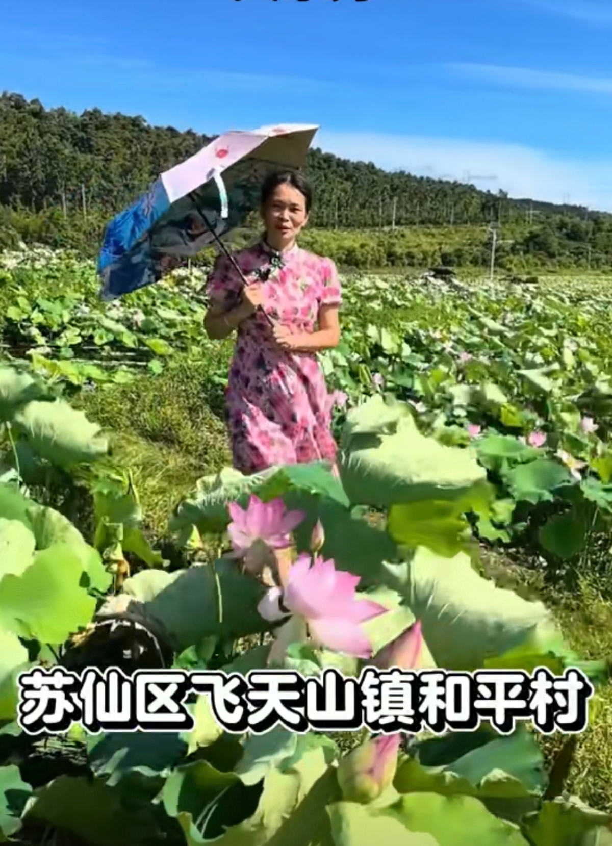 苏仙区