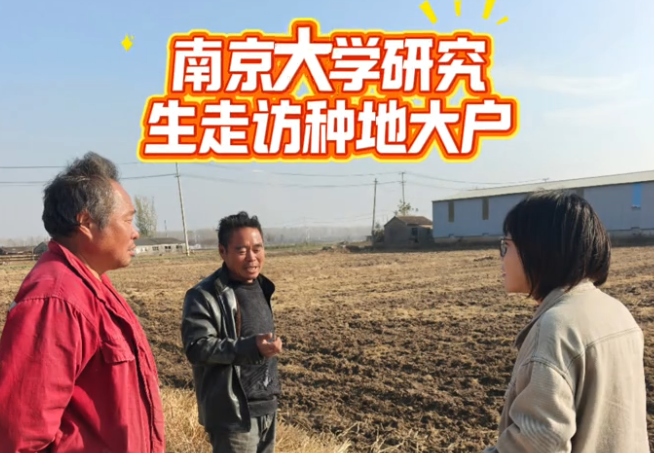 九段村