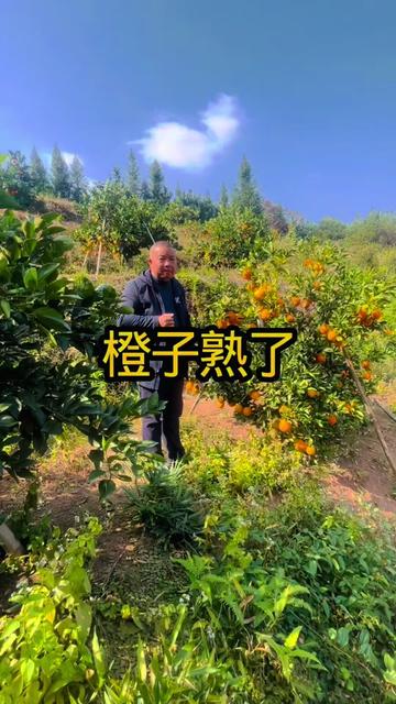 信丰县新田镇坪地山村