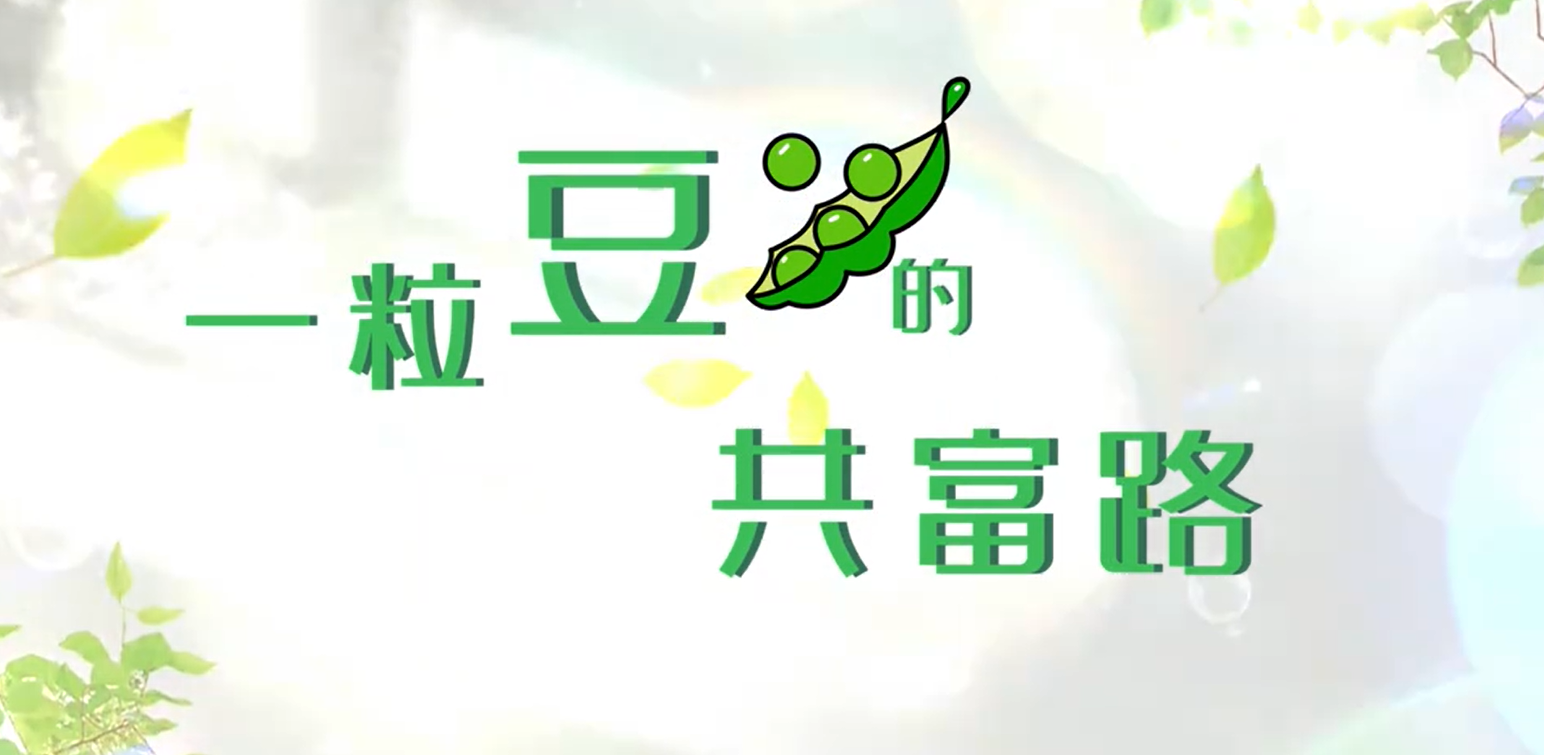 龙岩市