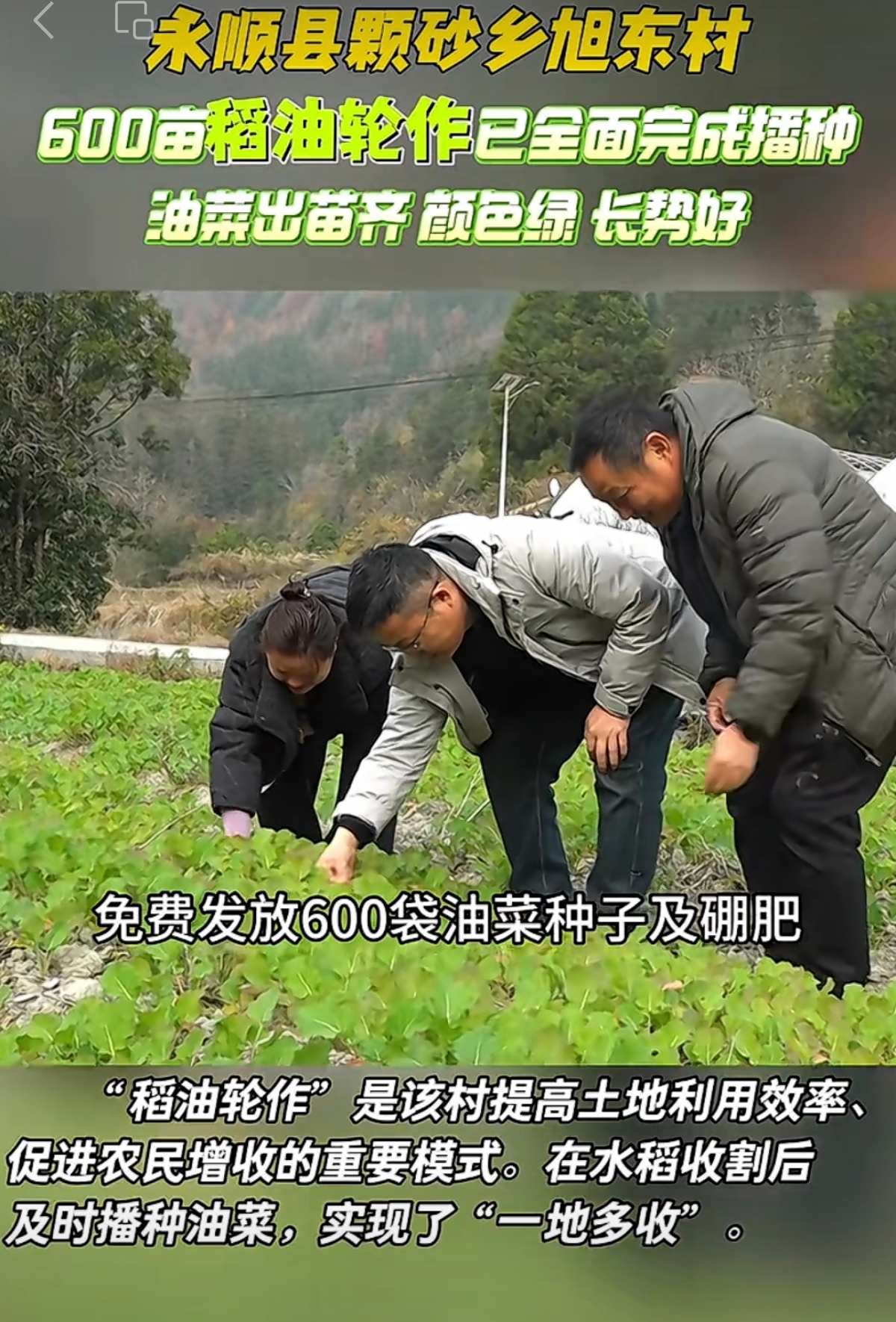 永顺县