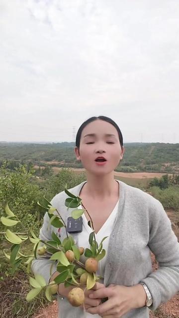进贤县白圩乡堵岭村
