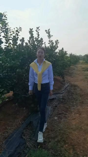 南昌县幽兰镇马游村