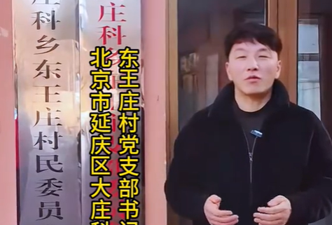 东王庄村