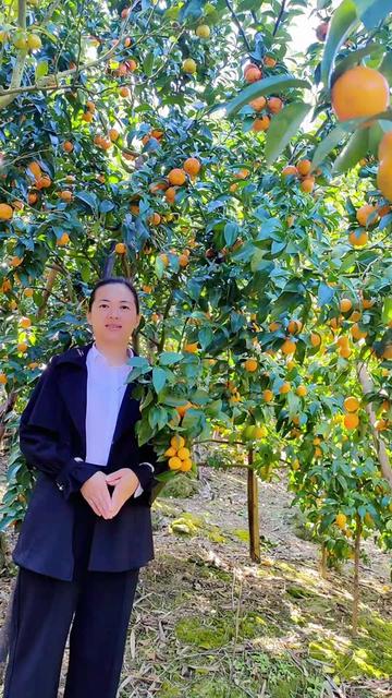 从化区良口镇良平村