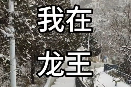 龙王村