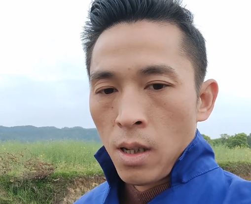 龙虎村