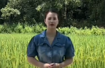 官口村