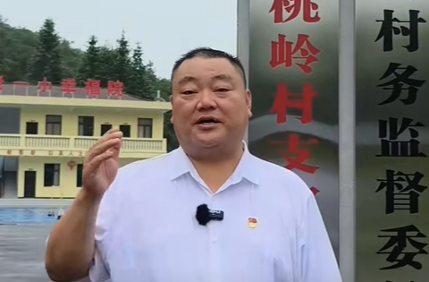 桃岭村
