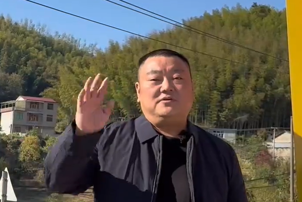桃岭村