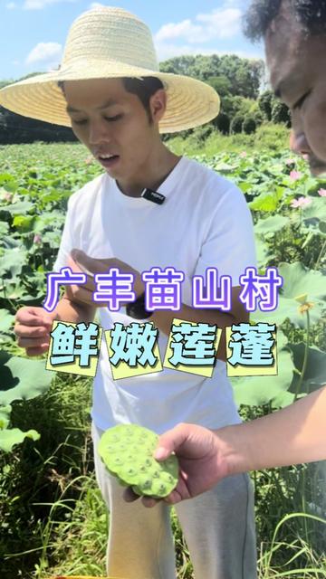 广丰区羊口镇苗山村