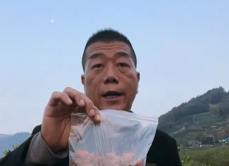 福鼎市